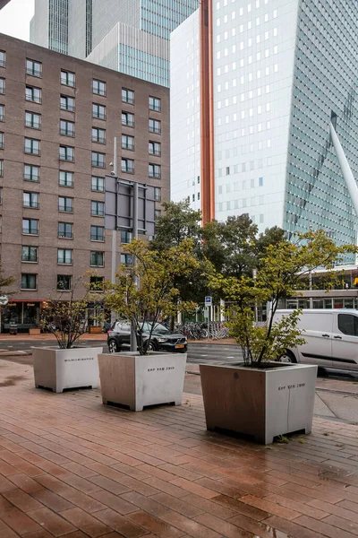 Rotterdam Países Bajos Octubre 2021 Vista Desde Kop Van Zuid — Foto de Stock