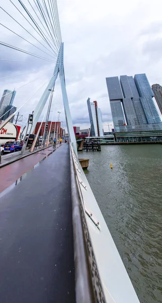 Rotterdam Holandia Października 2021 Most Erasmus Nad Rzeką Maas Lub — Zdjęcie stockowe