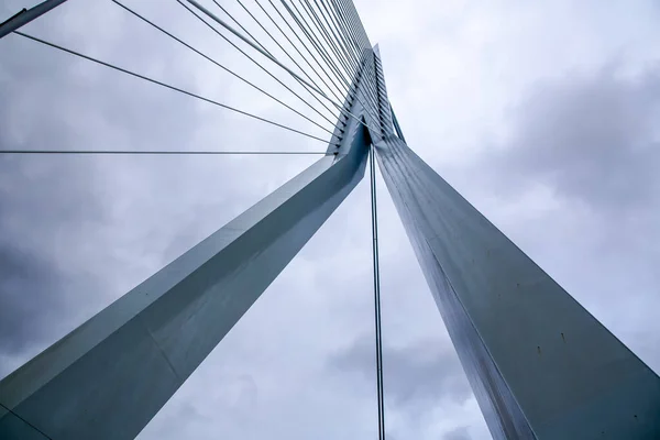 Erasmus Bridge Maas Meuse River Rotterdam Second Largest City Netherlands — Stock Photo, Image