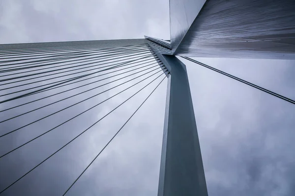 Ponte Erasmus Sul Maas Sul Fiume Mosa Rotterdam Seconda Città — Foto Stock