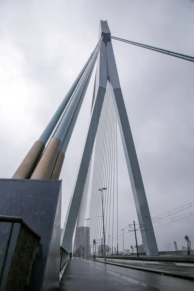 Pont Erasmus Sur Maas Meuse Rotterdam Deuxième Grande Ville Des — Photo