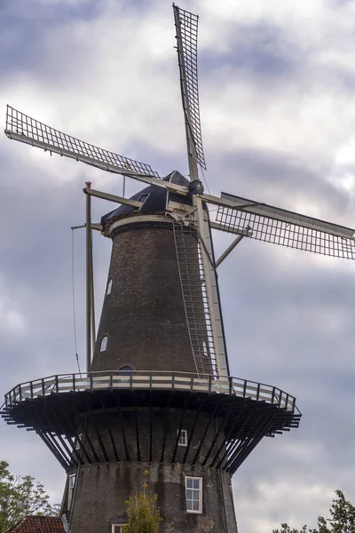 Molen Valk Valk Molenmuseum Een Torenmolen Museum Leiden — Stockfoto