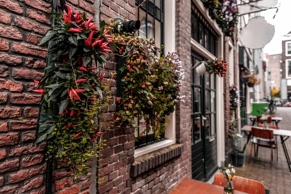 Street View Arquitectura Genérica Leiden Una Ciudad Municipio Provincia Holanda — Foto de Stock