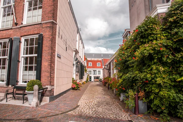 Street View Arquitectura Genérica Leiden Una Ciudad Municipio Provincia Holanda — Foto de Stock