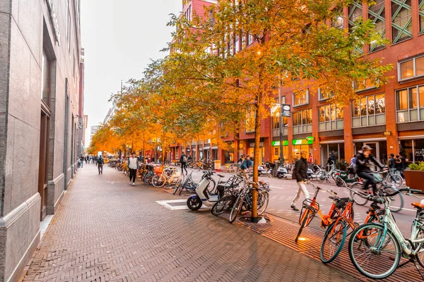 2021年10月7日 荷兰海牙 秋天温暖的夜晚 从海牙商业区宽阔的街道上眺望 — 图库照片