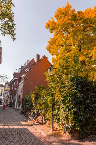 Οδική Άποψη Και Παραδοσιακά Ολλανδικά Κτίρια Στο Ιστορικό Κέντρο Της — Φωτογραφία Αρχείου