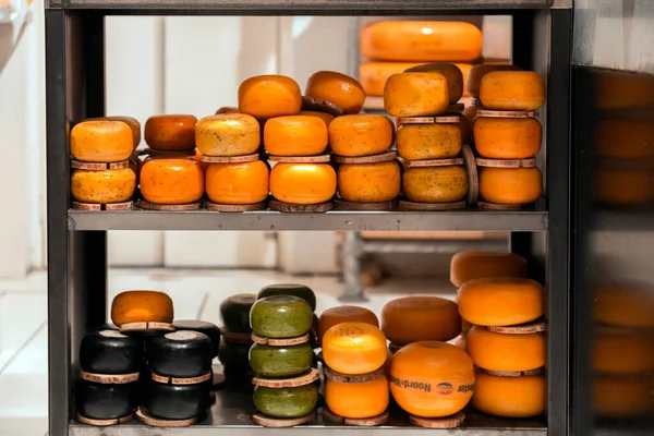 2021年10月9日 荷兰乌得勒支 不同类型的荷兰传统奶酪在荷兰乌得勒支的一家奶酪商店出售 — 图库照片