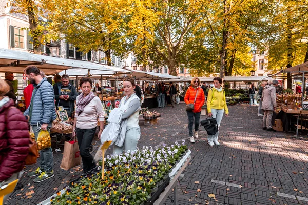 Utrecht Octubre 2021 Mercado Semanal Flores Janskerkhof Janskerkhof Bloenmarkt Utrecht —  Fotos de Stock