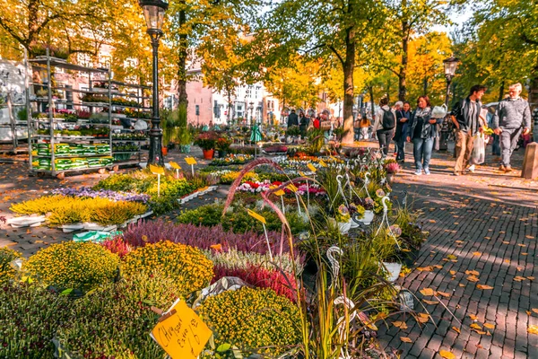 Utrecht Oct 2021 Weekly Flower Market Janskerkhof Janskerkhof Bloenmarkt Utrecht — Stock Photo, Image