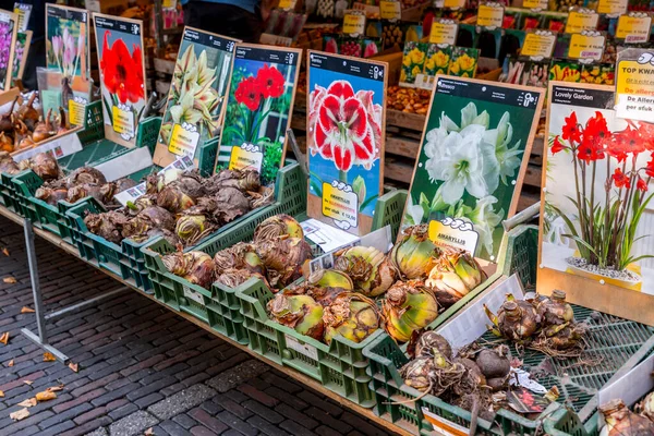 Utrecht Ptu 2021 Vários Bolbos Flores Vendidos Mercado Flores Janskerkhof — Fotografia de Stock