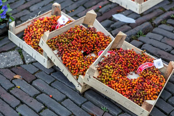 乌得勒支 Oct 2021年 荷兰乌得勒支Janskerkhof Janskerkhof Bloenmarkt 每周花卉市场 土耳其制造的圣诞装饰品 — 图库照片