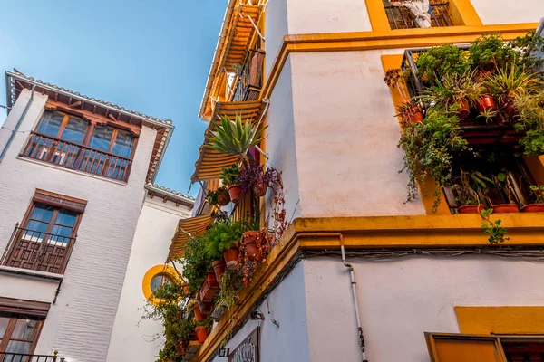 Granada España Febrero 2022 Arquitectura Genérica Vista Calle Ciudad Histórica — Foto de Stock