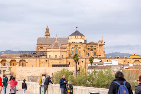 Córdoba España Febrero 2022 Vista Exterior Detalle Decorativo Magnífica Mezquita — Foto de Stock