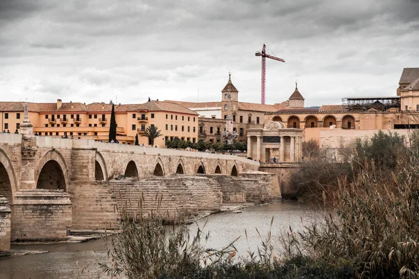 Cordoue Espagne Février 2022 Pont Romain Puente Romano Tour Calahorra — Photo