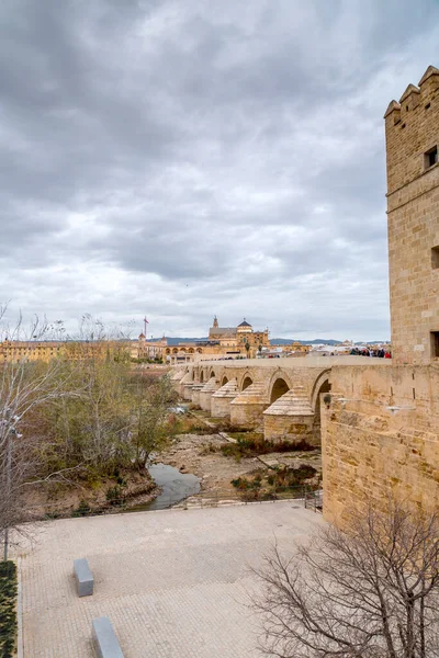 Córdoba España Febrero 2022 Puente Romano Torre Calahorra Sobre Río — Foto de Stock