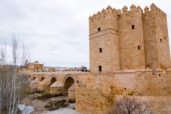 Córdoba Espanha Fevereiro 2022 Ponte Romana Puente Romano Torre Calahorra — Fotografia de Stock