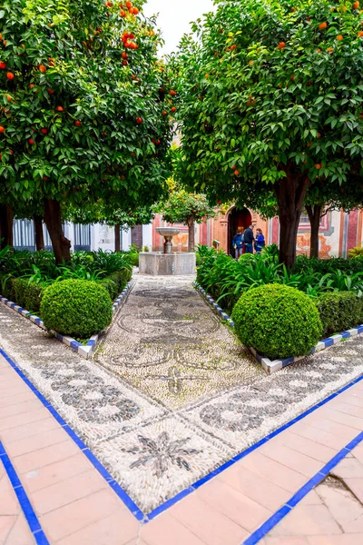 Córdoba España Febrero 2022 Museo Romero Torres Plaza Del Potro — Foto de Stock