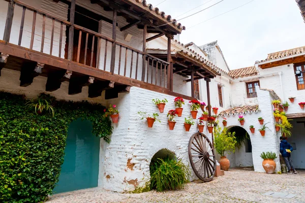 Cordoba Spanien Februar 2022 Centro Flamenco Fosforito Ein Museum Mit — Stockfoto