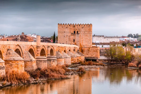 Cordoba Spain February 2022 Roman Bridge Puente Romano Calahorra Tower — Stock Photo, Image