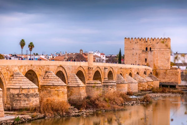 Cordoba Spain February 2022 Roman Bridge Puente Romano Calahorra Tower — Stock Photo, Image