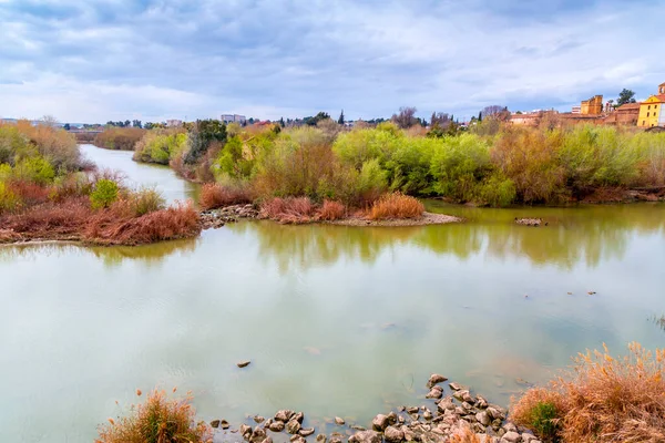 Vue Depuis Guadalquivir Wadi Keebeer Arabe Depuis Pont Romain Cordoue — Photo