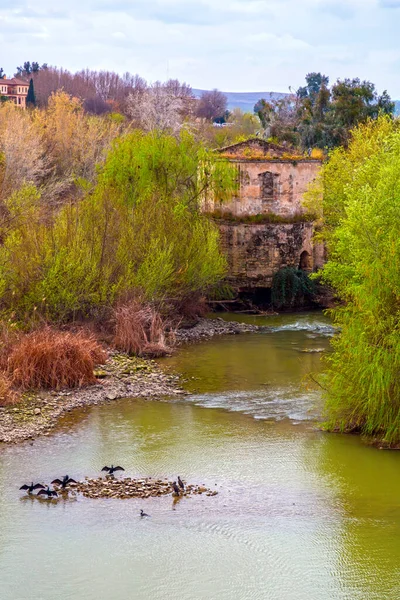 Vista Desde Guadalquivir Wadi Keebeer Árabe Desde Puente Romano Córdoba — Foto de Stock
