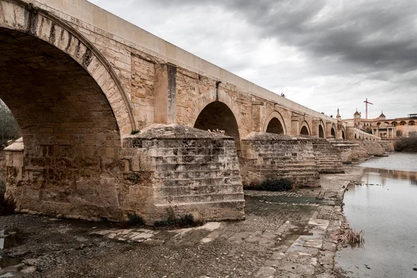 Den Romerska Bron Eller Puente Romano Och Calahorra Tower Över — Stockfoto
