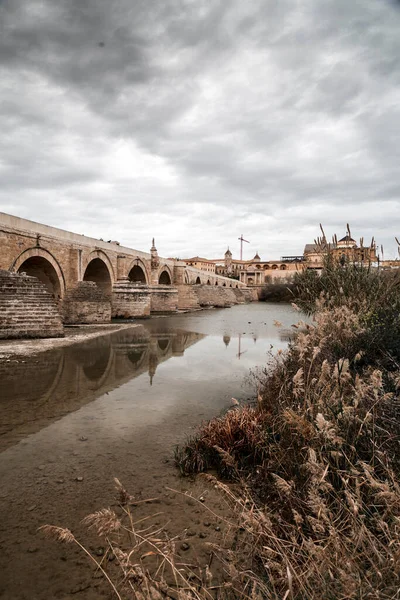 Pont Romain Puente Romano Tour Calahorra Sur Fleuve Guadalquivir Cordoue — Photo
