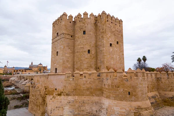 Die Römische Brücke Oder Puente Romano Und Der Calahorra Turm — Stockfoto