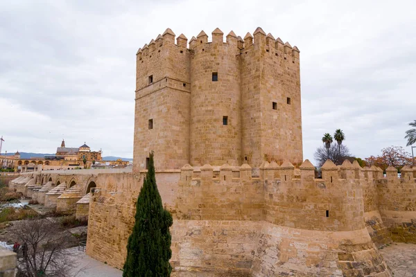 Die Römische Brücke Oder Puente Romano Und Der Calahorra Turm — Stockfoto