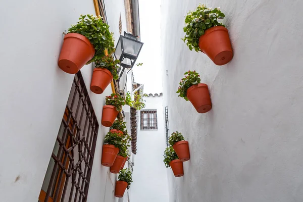 スペインのコルドバの歴史的都市で伝統的なアンダルシア建築とストリートシーン — ストック写真
