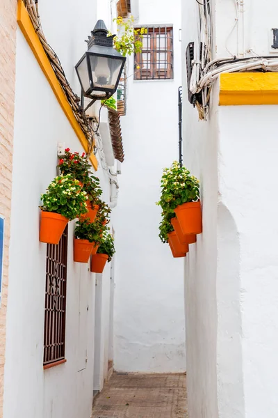 Escena Callejera Con Arquitectura Tradicional Andaluza Histórica Ciudad Córdoba España — Foto de Stock