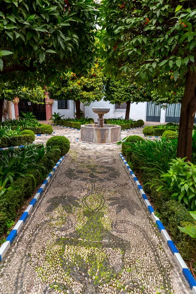 Romero Torres Müzesi Cordoba Spanya Daki Plaza Del Potro — Stok fotoğraf