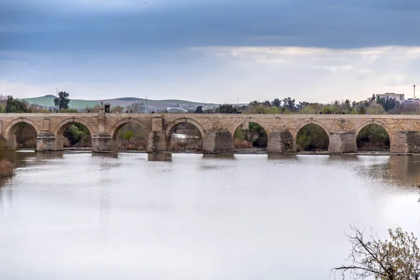 Ρωμαϊκή Γέφυρα Puente Romano Και Πύργος Calahorra Πάνω Από Τον — Φωτογραφία Αρχείου