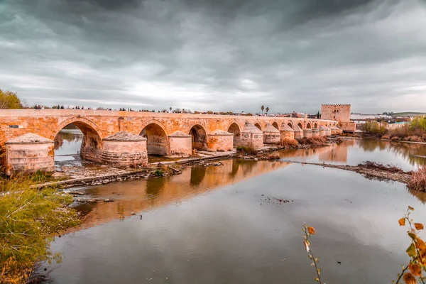 Ρωμαϊκή Γέφυρα Puente Romano Και Πύργος Calahorra Πάνω Από Τον — Φωτογραφία Αρχείου