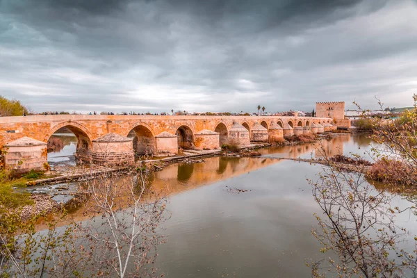 Римський Міст Або Ель Пуенте Романо Вежа Калаорра Через Річку — стокове фото