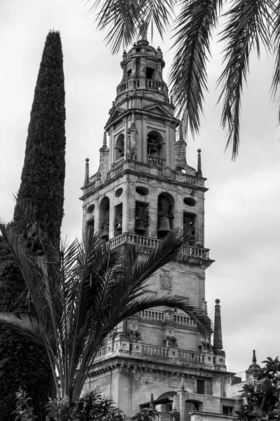 コルドバの壮大なモスクからの外観の眺めと装飾的な詳細 現在のスペイン アンダルシア州メスキータ大聖堂 — ストック写真