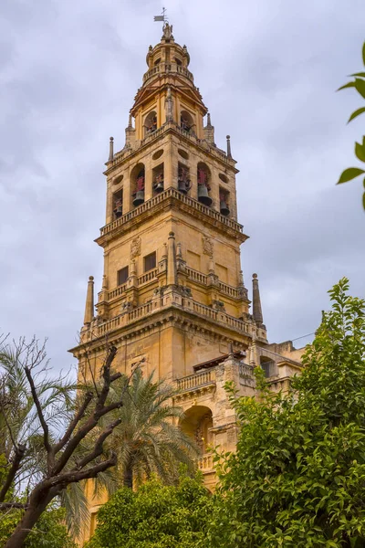 Exterior View Decorative Detail Magnificent Mosque Cordoba Present Day Mezquita — Stock Photo, Image