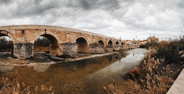 Pont Romain Puente Romano Tour Calahorra Sur Fleuve Guadalquivir Cordoue — Photo