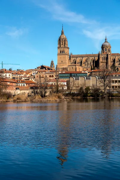 Саламанка Іспанія Лютого 2022 Собор Саламанки Через Річку Тормес Саламанка — стокове фото