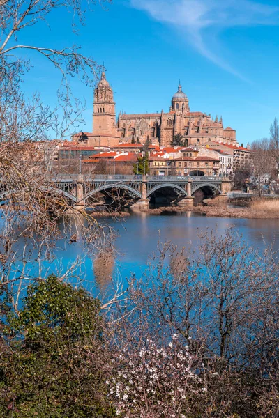 Salamanca Spain February 2022 Salamanca Skyline View Cathedral Tormes River — Stock Photo, Image