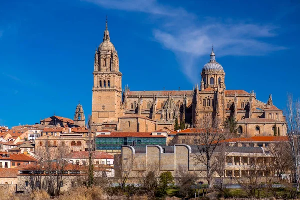 Salamanca Skyline View Cathedral Tormes River Salamanca — Stock Photo, Image