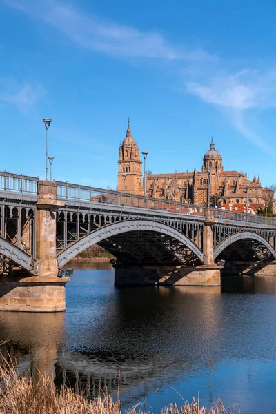 Vue Panoramique Salamanque Avec Cathédrale Sur Rivière Tormes Salamanque — Photo