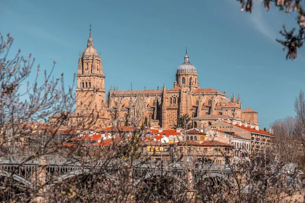 Salamanca Skyline Utsikt Med Katedralen Över Floden Tormes Salamanca — Stockfoto