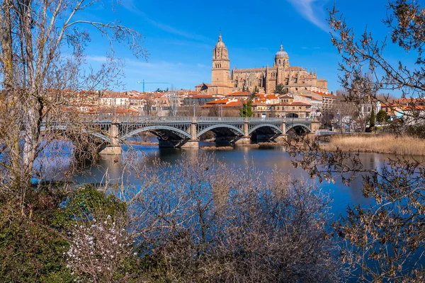 Небесний Вигляд Саламанки Собором Через Річку Тормес Саламанка — стокове фото
