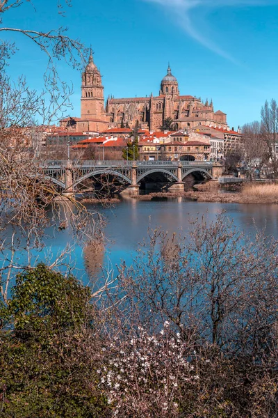 Salamanca Skyline View Cathedral Tormes River Salamanca — Stock Photo, Image