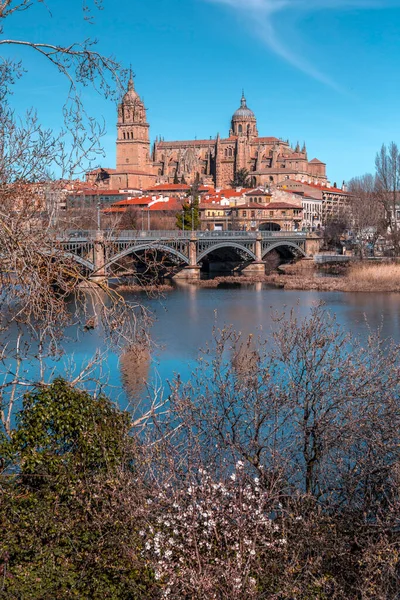 Vista Panorâmica Salamanca Com Catedral Outro Lado Rio Tormes Salamanca — Fotografia de Stock