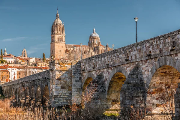 Widok Panoramę Salamanki Katedrą Rzymskim Mostem Nad Rzeką Tormes Hiszpania — Zdjęcie stockowe