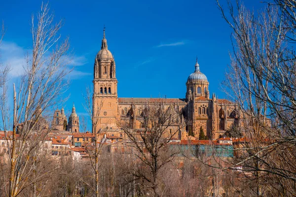 New Cathedral Catedral Nueva One Two Cathedrals Salamanca Constructed 16Th — Stock Photo, Image