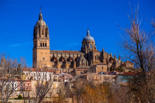 New Cathedral Catedral Nueva One Two Cathedrals Salamanca Constructed 16Th — Stock Photo, Image